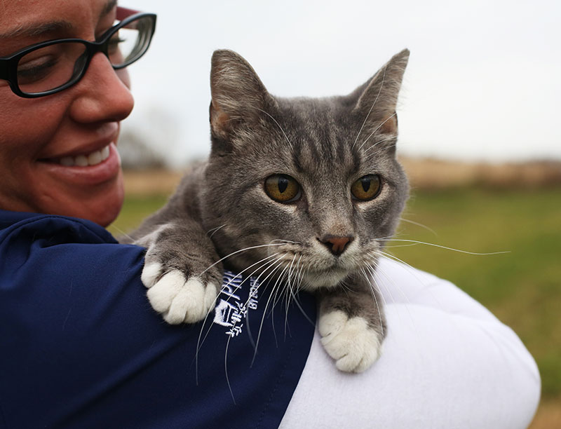 Iowa City Vets - Dogs, Cats & Pocket Pets