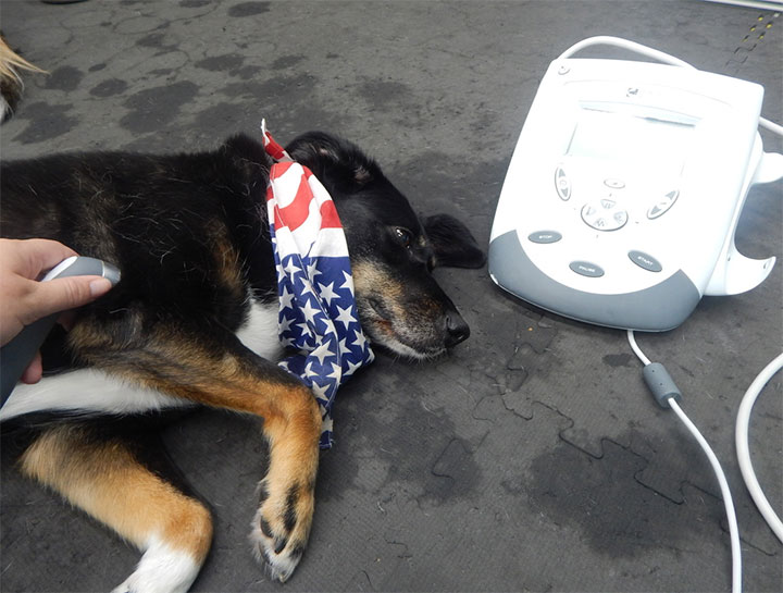 Neuromuscular Electrical Stimulation